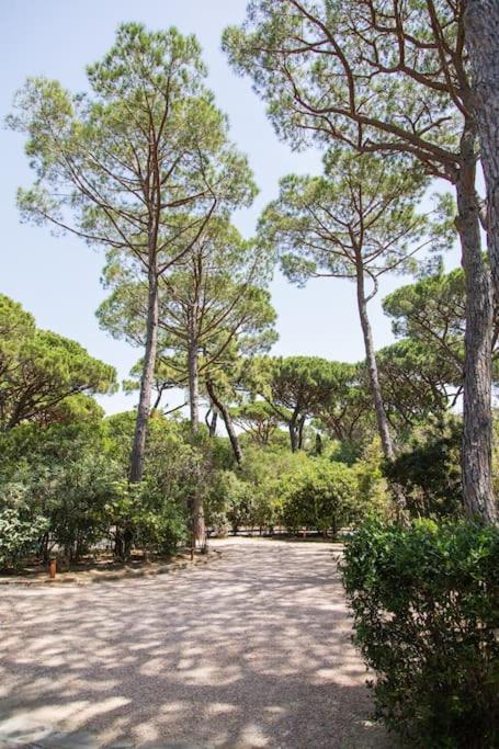 Villa Roccapini Castiglione della Pescaia Exterior photo